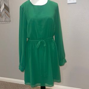 Naked Zebra Green Dress